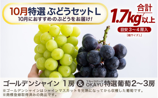 【先行予約】【訳あり】10月特選 ぶどうセットL 1.7kg以上（3～4房）／ 葡萄 シャインマスカット 完熟 ゴールデン シャイン 品種 おまかせ あわら 農家おすすめ ※2026年10月より順次発送 [aw007-b001]