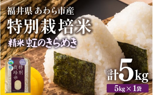 【令和7年産】化学肥料不使用 特別栽培米 虹のきらめき 精米 5kg / 白米 米 福井県あわら市産 美味しい 特別栽培米 減農薬 安心な米 旨味 甘み もっちり 冷蔵保管米 [aw010-a017]