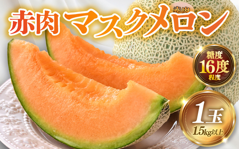 【先行予約】赤肉パリスメロン 秀品 1玉（1.5kg以上）【アールス系赤肉メロン】《糖度16度程度！1株1果採りで育てる高級メロン！》／ 果物 フルーツ 農家直送 赤肉 マスクメロン アールスメロン ギフト 贈答用 ※2026年7月上旬より順次発送予定 [aw028-a005]