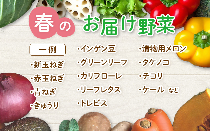 【先行予約】農家直送 春野菜セット 1箱 7品目以上 《元気に育った新鮮野菜！》 ※2026年4月下旬以降順次発送予定 [aw028-a008]