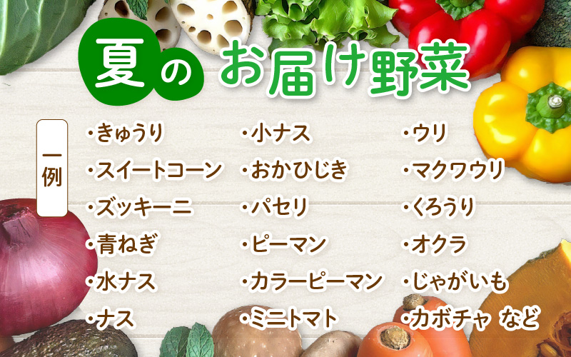【先行予約】農家直送 夏野菜セット 1箱 7品目以上 《元気に育った新鮮野菜！》※2026年7月中旬以降発送 [aw028-a009]