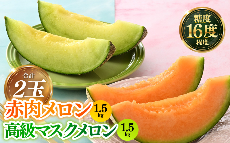 【先行予約】青肉アールスナイト 赤肉パリスメロン 秀品 各1玉（1.5kg以上×2玉）【アールス系メロン】《糖度16度程度！1株1果採りで育てる高級メロン！》／ 果物 フルーツ 農家直送 青肉 赤肉 セット マスクメロン アールスメロン ギフト 贈答用 ※2026年7月上旬より順次発送予定 [aw028-a013]