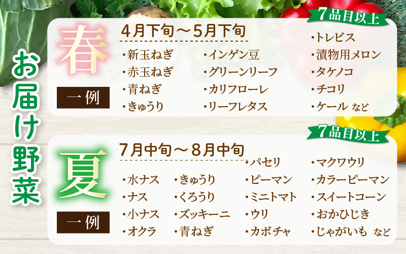 ＜定期便 4回＞ 新鮮野菜セット 1箱 7品目以上 【春 夏 秋 冬 発送】 [aw028-b001]