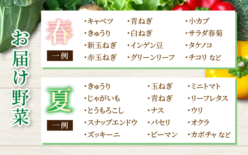 【6ヶ月連続お届け】農家直送 旬の野菜セット 7品目以上 1箱 ／ 定期便 6回 季節 野菜 ボックス BOX セット セレクト 農家 おまかせ 多品目 旬 詰め合わせ 根菜 葉物 [aw028-c002]