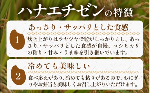 【先行予約】【令和8年産・新米】《定期便》特別栽培米 ハナエチゼン 低農薬 5kg×12回 60kg 《食味値85点以上！こだわり極上米》 / 福井県 あわら 北陸 米 お米 人気 ※2026年9月下旬以降順次発送 [aw032-n004]