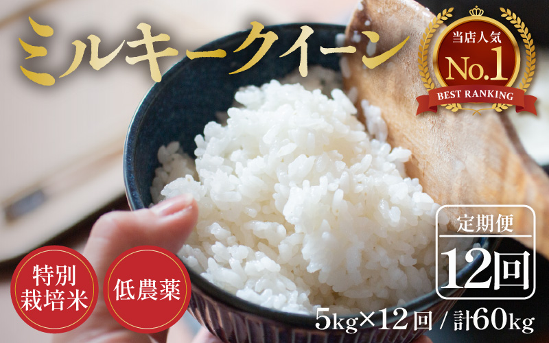 【先行予約】【令和8年産 新米】定期便《12ヶ月連続お届け》5kg×12回 60kg 特別栽培米 ミルキークイーン 精米 低農薬 《食味値85点以上！こだわり精米》 / 福井県 あわら市 北陸 米 お米 人気 白米 精米 ※2026年9月下旬より順次発送 [aw032-o005]