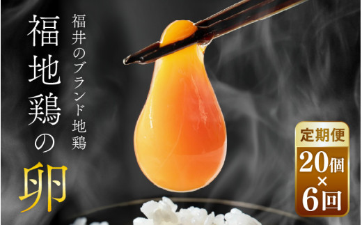 【6ヶ月連続お届け】 福井ブランド 「福地鶏」 の卵 20個 濃厚で甘くておいしい！ 定期便 ／ 卵 たまご 鶏卵 生卵 有精卵 高級 高級卵 福地鶏 鶏 平飼い 美味しい こだわり 6ヶ月 定期便 卵かけご飯 料理 あわら市 福井県産 [aw036-d002]
