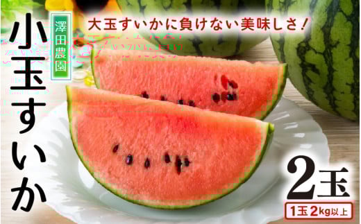【先行予約】小玉すいか 愛娘(まなむすめ) 2kg以上 2玉入 ＜大玉のようなシャリ感！皮際まで抜群に甘い＞ / 期間限定 果物 フルーツ 産地直送 スイカ 小玉スイカ ※2026年6月上旬より順次発送 [aw039-a001]