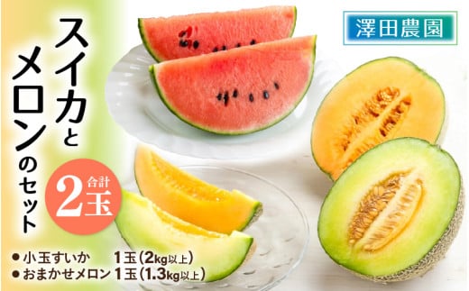 【先行予約】日を分けて2度楽しめる！小玉すいか・おすすめメロン 2種セット(2玉入)  / 期間限定 果物 フルーツ 産地直送 青肉 赤肉 スイカ 小玉スイカ 人気 ※2026年6月下旬より順次発送 [aw039-a004]