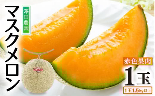 【先行予約】赤肉マスクメロン（1.5kg以上 1玉入）味も見た目も抜群！アールスメロン  / 期間限定 果物 フルーツ 産地直送 赤肉 人気 ギフト 贈答 ※2026年7月上旬より順次発送 [aw039-a016]