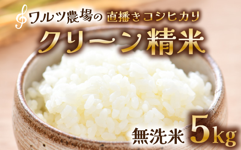 【先行予約】【令和8年産 新米】ワルツ農場の直播き コシヒカリ クリーン精米（無洗米） 5kg / お米 ご飯 白米 発送直前 精米 つや 艶 甘味 旨み あわら市産 福井県産 慣行栽培 コメ 北陸 福井県 あわら市 ※2026年10月下旬以降発送予定 [aw046-a007]