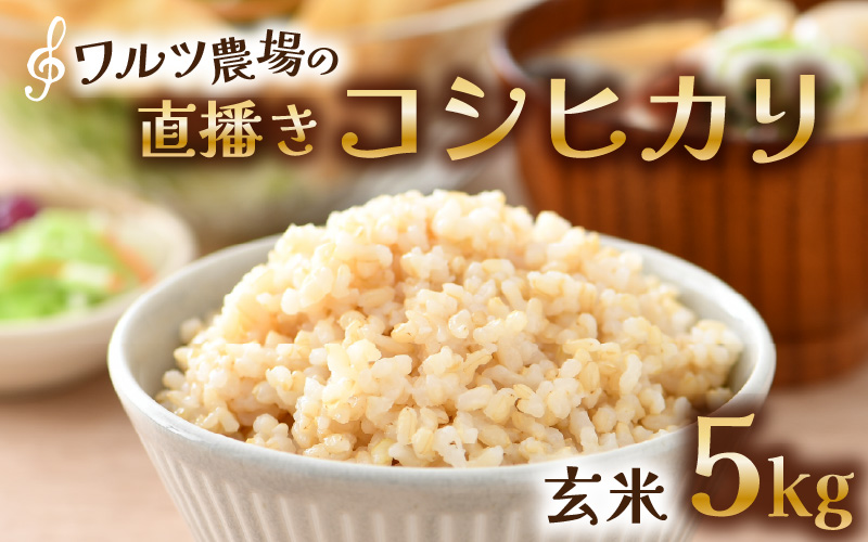 【先行予約】【令和8年産 新米】ワルツ農場の直播き コシヒカリ 玄米 5kg / お米 ご飯 つや 艶 甘味 旨み あわら市産 福井県産 慣行栽培 コメ 北陸 福井県 あわら市 ※2026年10月下旬以降発送予定 [aw046-a006]