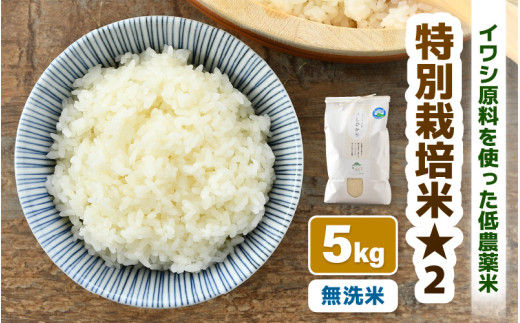【令和7年産 新米】 特別栽培米 コシヒカリ 無洗米 5kg 低農薬 / 北陸 福井県産 あわら市 ブランド米 白米 お米 コメ 特栽米 [aw056-a025]