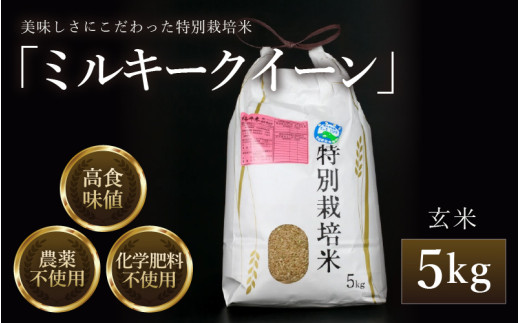 【先行予約】【令和8年産 新米】 ミルキークイーン 玄米 5kg 特別栽培米 農薬不使用 化学肥料不使用 ／ 高品質 鮮度抜群 福井県産 ブランド米 ※2026年10月上旬以降順次発送 [aw063-a007]