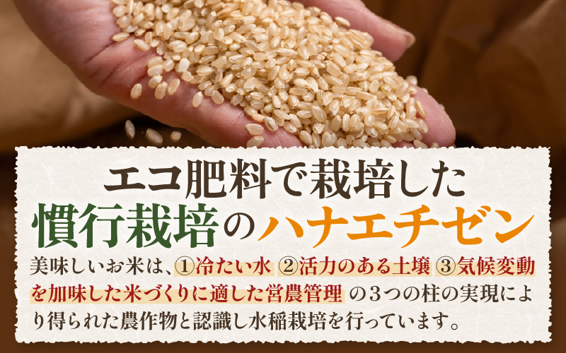 【先行予約】【令和8年産 新米】 エコ栽培ハナエチゼン　玄米5kg ／ 鮮度抜群 福井県産 はなえちぜん ご飯 新鮮 玄米 ※2026年9月上旬以降順次発送予定 [aw063-a015]