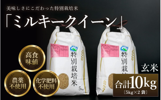【先行予約】【令和8年産 新米】 ミルキークイーン 玄米 10kg （5kg×2袋） 特別栽培米 農薬不使用 化学肥料不使用 ／ 高品質 鮮度抜群 福井県産 ブランド米 ※2026年10月上旬以降順次発送 [aw063-c002]
