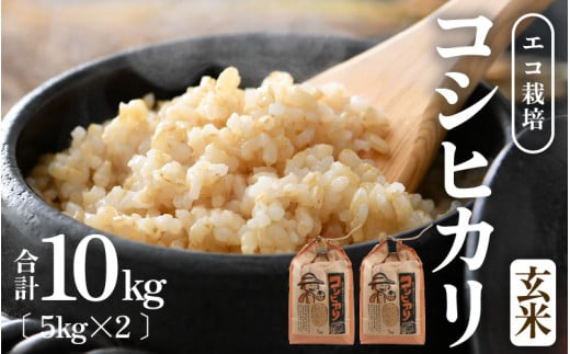 【先行予約】【令和8年産 新米】エコ栽培コシヒカリ 玄米10kg（5kg×2） ／ 鮮度抜群 福井県産 こしひかり ご飯 新鮮 玄米 ※2026年10月上旬以降順次発送 [aw063-b007]