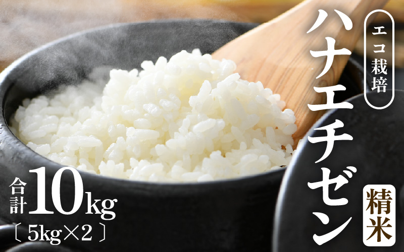 【先行予約】【令和8年産 新米】 エコ栽培ハナエチゼン 精米10kg （5kg×2袋） ／ 鮮度抜群 福井県産 はなえちぜん ご飯 新鮮 白米 ※2026年9月上旬以降順次発送予定 [aw063-b010]