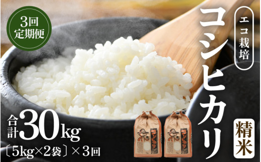 【先行予約】【令和8年産 新米】《定期便3回》エコ栽培コシヒカリ 白米10kg（5kg×2袋）計30kg ／ 鮮度抜群 福井県産 こしひかり ご飯 新鮮 白米 ※2026年10月上旬以降順次発送 [aw063-g001]