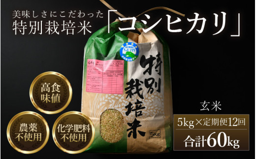 【先行予約】【令和8年産 新米】定期便《12ヶ月連続お届け》コシヒカリ 玄米 5kg （計60kg）特別栽培米 農薬不使用 化学肥料不使用 ／ 残留農薬ゼロ 高品質 鮮度抜群 福井県産 ブランド米 玄米 ※2026年10月上旬以降順次発送 [aw063-n003]