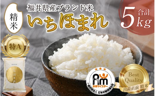 【令和7年産・新米】いちほまれ 精米 5kg×1袋《お米マイスター厳選！発送直前に精米！》 ／ 福井県産 ブランド米 ご飯 白米 新鮮 [aw064-a015]
