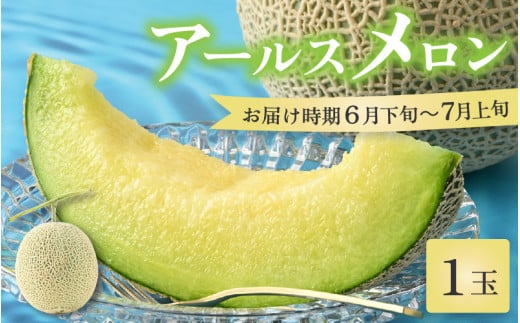 【先行予約】【青肉】アールスメロン 1玉（約1.6kg以上）青肉品種 高級メロン！ ／ マスクメロン 大玉 果物 フルーツ 夏 ギフト 農家直送 ※2026年6月下旬以降順次発送予定 [aw065-a001]