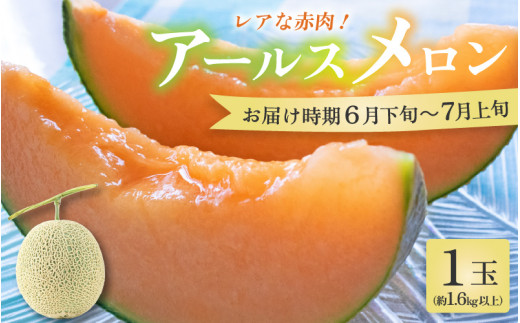 【先行予約】【赤肉】アールスメロン 1玉（約1.6kg以上）赤肉品種 高級メロン！ ／ マスクメロン 大玉 果物 フルーツ 夏 ギフト 農家直送 ※2026年6月下旬以降順次発送予定 [aw065-a003]