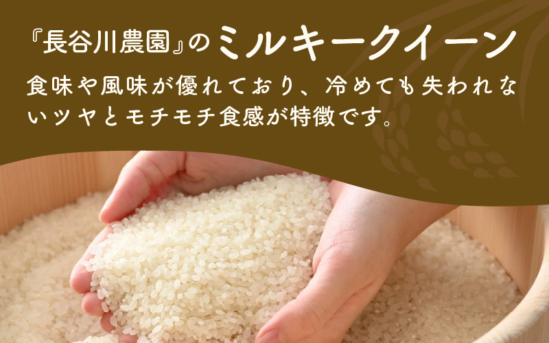 【令和7年産 新米】定期便《12ヶ月連続お届け》ミルキークイーン 精米 5kg（計60kg）＜低農薬栽培＞ ／ 高品質 鮮度抜群 福井県あわら市産 白米 お米 米 [aw066-l002]