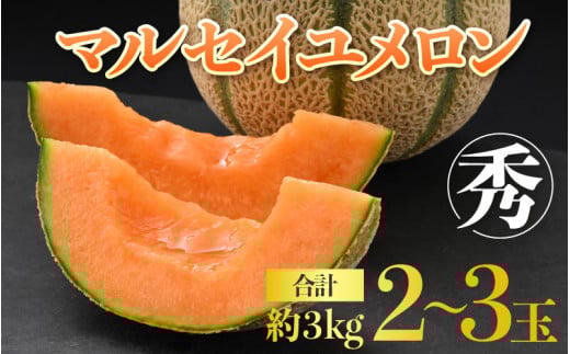 【先行予約】佐藤農園のマルセイユメロン 約3kg前後《秀品》(2～3玉入）深みのある甘さ とろける濃厚な赤肉！農家直送 有機肥料 低農薬 ※2026年6月上旬より順次発送予定 [aw069-a002]