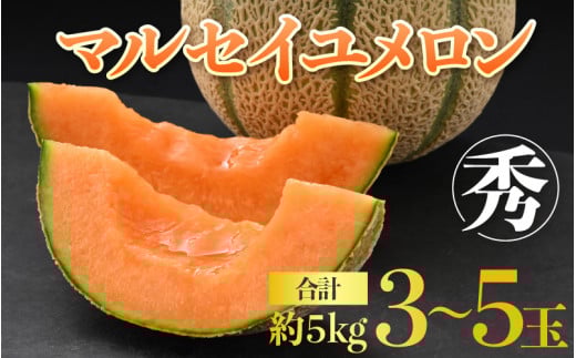 【先行予約】佐藤農園のマルセイユメロン 約5kg 秀品（3～5玉入）深みのある甘さ とろける濃厚な赤肉！農家直送 有機肥料 低農薬 ※2026年6月発送上旬より順次発送予定 [aw069-a003]