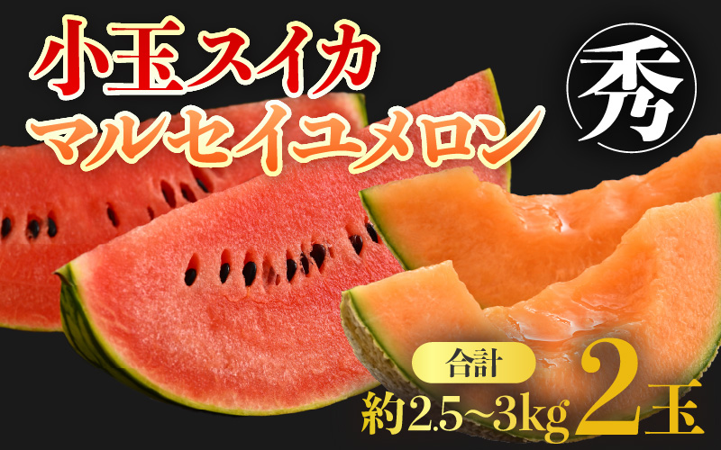 【先行予約】佐藤農園の小玉スイカ・マルセイユメロン セット 計2玉（約2.5kg～3kg） 秀品 農家直送 有機肥料 低農薬 ※2026年6月上旬より順次発送 [aw069-a004]