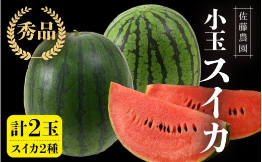 【先行予約】抜群の甘さ！佐藤農園の小玉スイカ 食べ比べセット 2玉（計3kg以上）／ 秀品 農家直送 有機肥料 低農薬 ※2026年6月上旬より順次発送予定 [aw069-a007]
