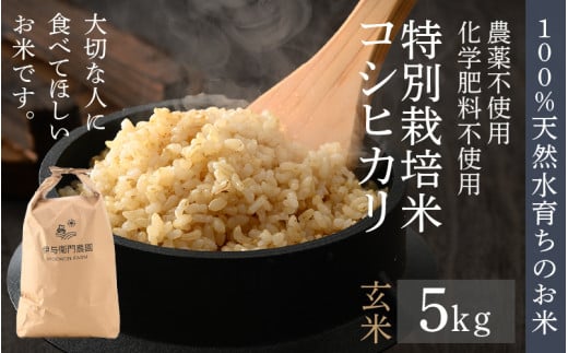 【先行予約】【令和8年産 新米】伊与衛門農園のコシヒカリ 玄米 5kg 特別栽培米 化学肥料不使用 ＜温度と湿度を常時管理し新鮮米を出荷！＞／ 高品質 鮮度抜群 福井県あわら産 ブランド米 お米 ※2026年9月下旬より順次発送予定 [aw071-a008]