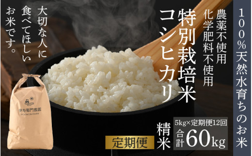【先行予約】【令和8年産 新米】《定期便12回》伊与衛門農園のコシヒカリ 精米 5kg （計60kg）特別栽培米 化学肥料不使用 ＜温度と湿度を常時管理し新鮮米を出荷！＞／ 高品質 鮮度抜群 福井県あわら産 ブランド米 白米 お米 ※2026年10月上旬以降順次発送 [aw071-o002]
