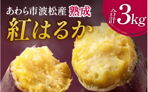 あわら市波松産 紅はるか 3kg / 厳選 不揃い さつまいも 土付き 熟成 焼き芋 福井県 薩摩芋 密芋 スイートポテト しっとり ほっくり 自然のスイーツ 極甘 農研機構許諾済 メディアで人気 腸活 [aw084-a001]