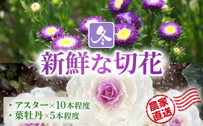 【先行予約】花農家直送 新鮮な切花【冬】 / 生花 お花 旬の花束 豊かな生活 花のある生活 15本程度 2種 季節 花 ※2026年12月下旬以降発送予定 [aw099-a004]