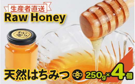 【天然はちみつ】 raw honey あわら蜜 4個 / 非加熱 生産者直送 蜂蜜 ミツバチ 純はちみつ ローヤルゼリー 生はちみつ みつばち [aw101-d001]