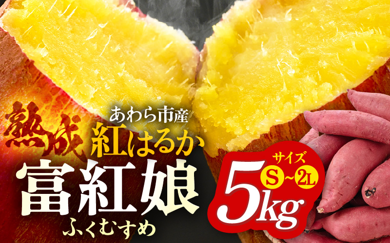 さつまいも 富紅娘（ふくむすめ）S~2Lサイズ 5kg / 紅はるか べにはるか さつま芋 国産 芋 産地直送 熟成 サツマイモ [aw108-a001]