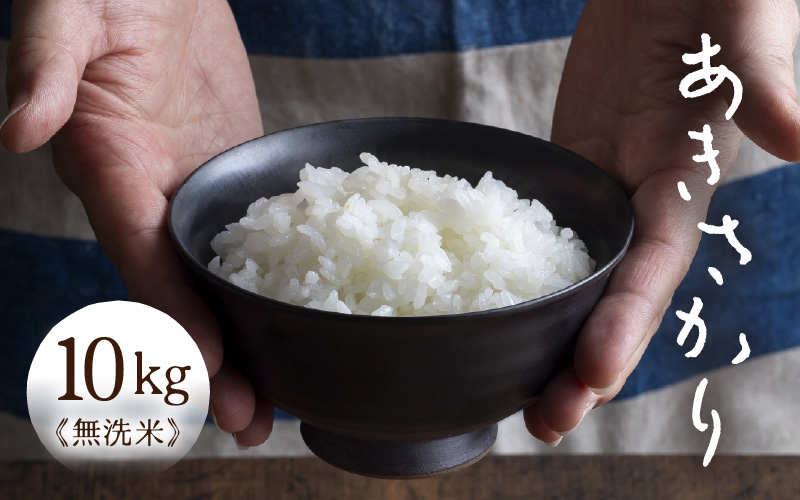 令和7年産 あきさかり　無洗米 10kg × 1袋（計10kg） ／ 米 10キロ 福井県産 ブランド米 あきさかり ご飯 白米 新鮮 高品質米 [aw121-b004]