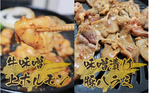 越前ホルモン屋 味噌漬け 人気ホルモンセット（計1kg）約8～10人前 ／ 味付け肉 豚肉 牛肉 小分け タレ漬け 焼肉 バーベキュー 冷凍 人気 キャンプ飯 BBQ 焼くだけ 時短調理 [aw001-a011]