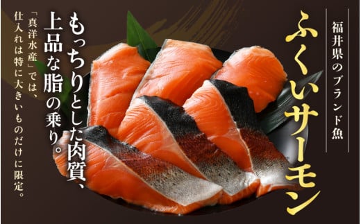 ふくいサーモン 切り身 100g×6切 計600g ＜鮮度抜群！アレンジ自在！真空冷凍＞ ／ 生食OK 刺身 焼き魚 鮭 国産 [aw002-b003]