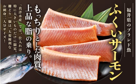 ふくいサーモン 柵どり 150g×4パック 計600g ＜鮮度抜群！アレンジ自在！真空冷凍＞ ／ 生食OK 刺身 鮭 国産 福井県 あわら市 魚 [aw002-b004]