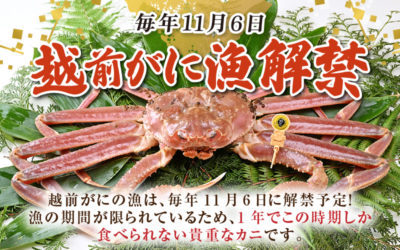 【先行予約】【3月発送限定】茹で越前がに 1杯 1.1kg～1.3kg《新鮮！茹でたてを発送》／ 高級 福井 ブランド ズワイガニ ボイル 黄色タグ 冷蔵 蟹 カニ 期間限定 【最終受付3月10日まで】※2026年3月上旬～2026年3月中旬で発送 [aw002-x004_03]