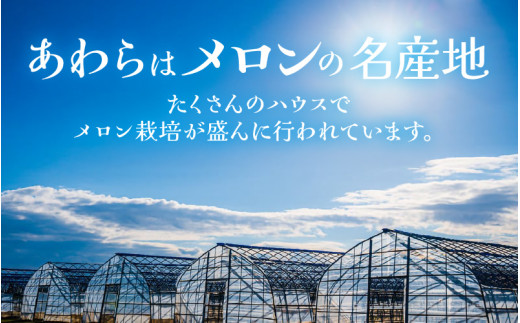 【先行予約】メロンの王様！アールスメロン 2玉入 2～3L 〈贈答用にも最適な最高級メロン〉／ 期間限定 果物 フルーツ 高級メロン マスクメロン 青肉 産地直送 ※2026年7月中旬より順次発送 [aw003-a011]