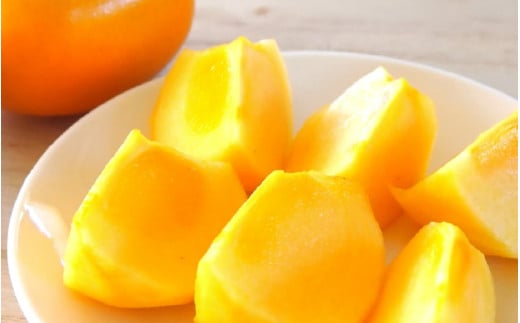 【先行予約】越前柿 16～20玉入 M～2L 《種なしで食べやすく甘い！》 あわらブランド ／ 期間限定 果物 フルーツ 産地直送 旬 お取り寄せ ※2026年10月中旬以降順次発送 [aw003-a006]