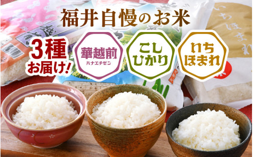【令和7年産】福井のお米 食べ比べセット 2kg×3種 計6kg ／ 福井県産 ブランド米 ハナエチゼン コシヒカリ いちほまれ 精米 白米 食べ比べ [aw003-b002]