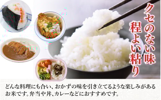 【令和7年産】化学肥料不使用あきさかり 精米 5kg（5kg×1袋） / 白米 米 福井県あわら市産 美味しい 特別栽培米 減農薬 安心な米 旨味 甘み もっちり 冷蔵保管米 [aw010-a024]