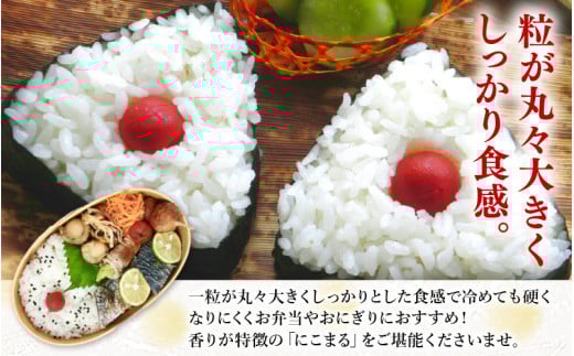 【令和7年産 新米】 化学肥料不使用にこまる 精米4kg（1kg×4パック）【真空パック】 / 白米 米 福井県産 美味しい 特別栽培米 旨味 甘み 歯ごたえ エコファーマー 冷蔵保管米 [aw010-a008]