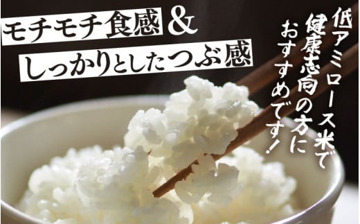 【令和7年産】化学肥料不使用 特別栽培米 ふくむすめ 精米 5kg / 白米 米 福井県あわら市産 美味しい 特別栽培米 減農薬 安心な米 旨味 甘み もっちり 冷蔵保管米 [aw010-a021]