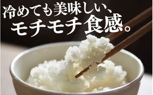 【令和7年産】化学肥料不使用 特別栽培米 ミルキープリンセス 精米 5kg / 白米 米 福井県あわら市産 美味しい 特別栽培米 減農薬 安心な米 旨味 甘み もっちり 冷蔵保管米 [aw010-a016]